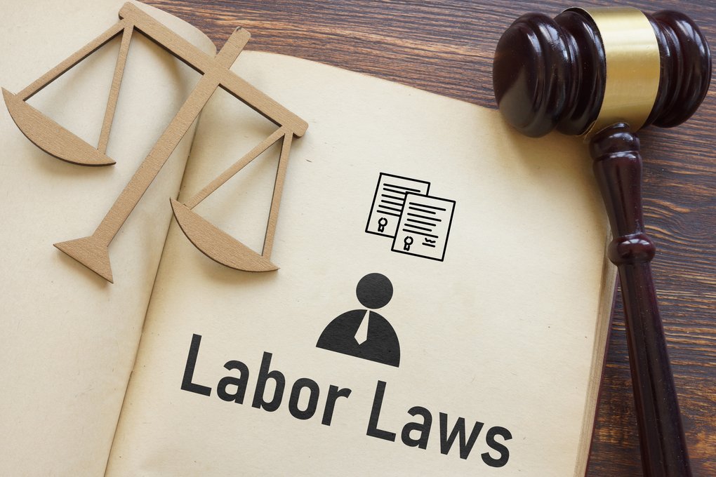 Employment Contracts: Rights and Obligations